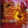 June Tabor - Rosa Mundi CD (Import)