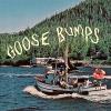 Boyscott - Goose Bumps VINYL [LP]
