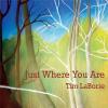 Tim Laborie - Just Where You Are CD