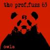 Prof. Fuzz 63 - Owls VINYL [LP]