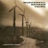 Wonderful Broken Thing - Looking For Mike Lookinland CD