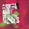 Asking Abby - Silence The Voices 2008 CD