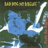 Bad Dog No Biscuit - Feels So Right CD