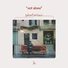Gabriel Birnbaum - Not Alone VINYL [LP]