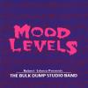 Silvera, Robert Presents The Bulk Dump Studio Band - Mood Levels CD
