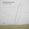 Julia Hulsmann - Not Far From Here CD