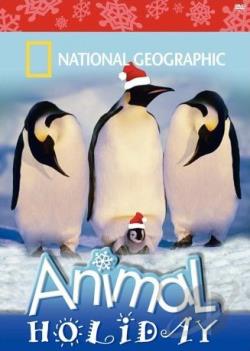 Animal Holiday movie