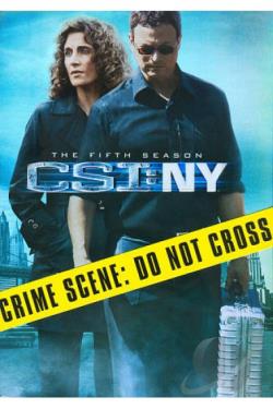 CSI: NY - The Fifth Season movie