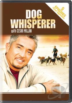 Dog Whisperer With Cesar Millan - Aggression movie
